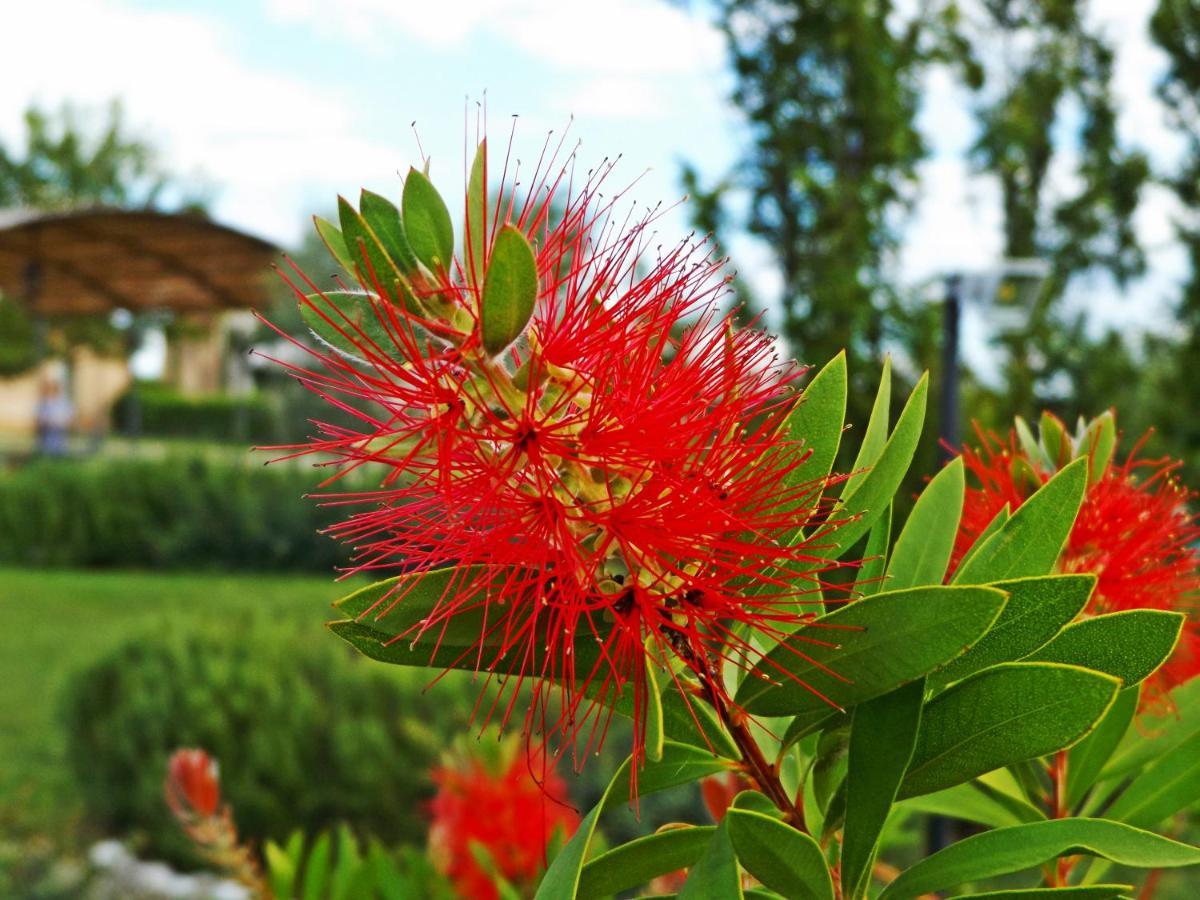 Casa Vacanze La Fiorita Cortona Phòng bức ảnh